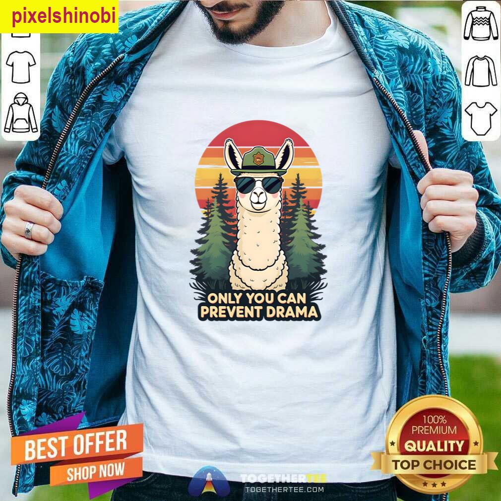 Retro Llama Sunset Drama Free T-shirt